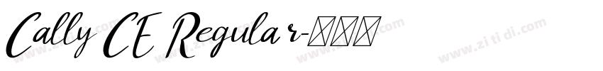 Cally CE Regular字体转换